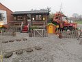 003 (17)
